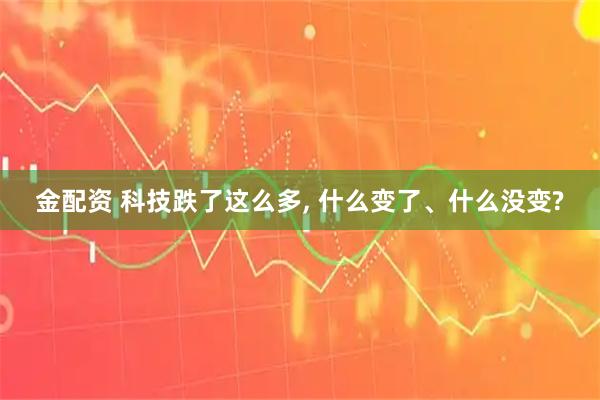 金配资 科技跌了这么多, 什么变了、什么没变?