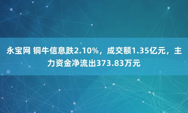 永宝网 铜牛信息跌2.10%，成交额1.35亿元，主力资金净流出373.83万元