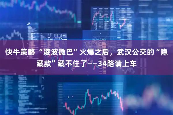 快牛策略 “凌波微巴”火爆之后，武汉公交的“隐藏款”藏不住了——34路请上车